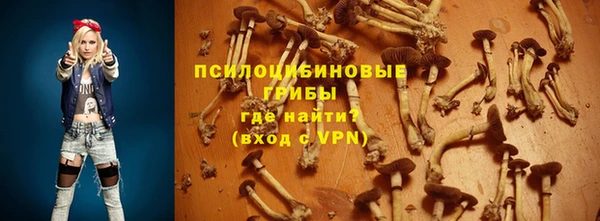 стаф Кукмор