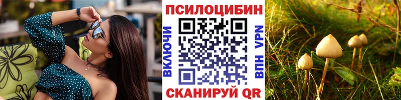 Галлюциногенные грибы мицелий  купить   Оренбург 
